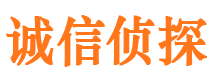 任城市调查公司